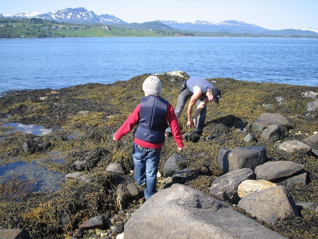 Villa Tjeldsundbrua Maritim Evenskjer Esterno foto